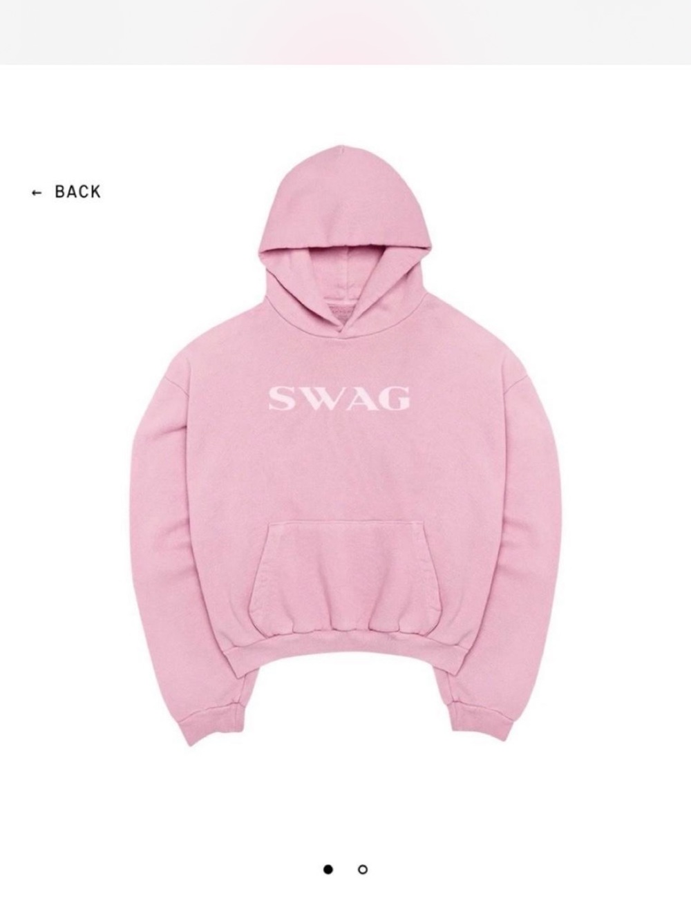 Skylrk Justin Bieber Coachella Sweatshirt in Pink